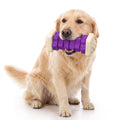Purple Interactive Dog Toy