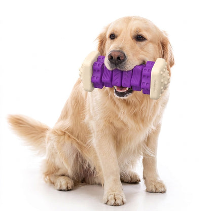 Purple Interactive Dog Toy